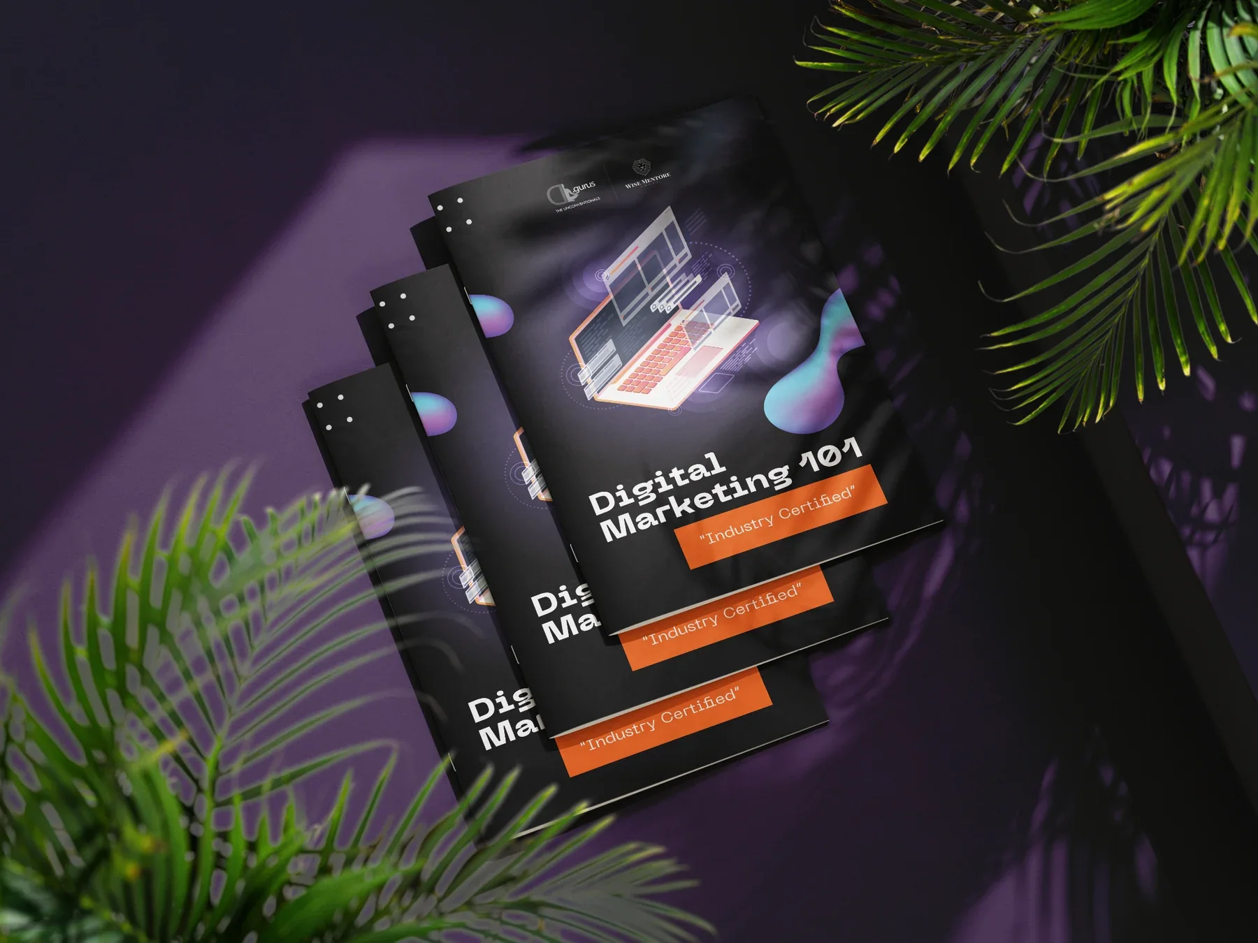 Campaign Collateral — Wise Mentore