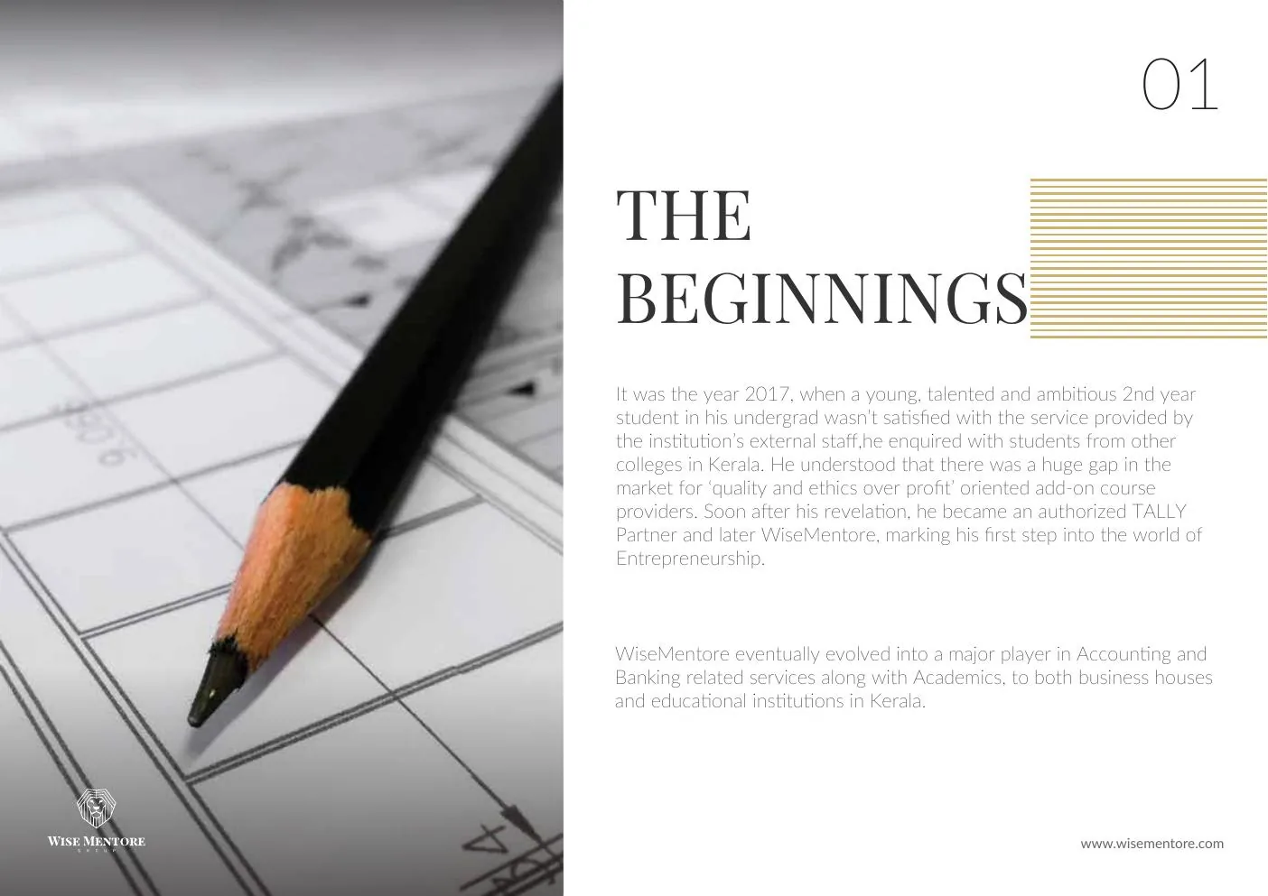 Wise Mentore Company Profile — The Beginnings